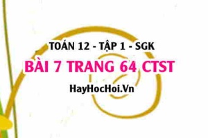 Bài 7 trang 64 Toán 12 tập 1 Chân trời sáng tạo